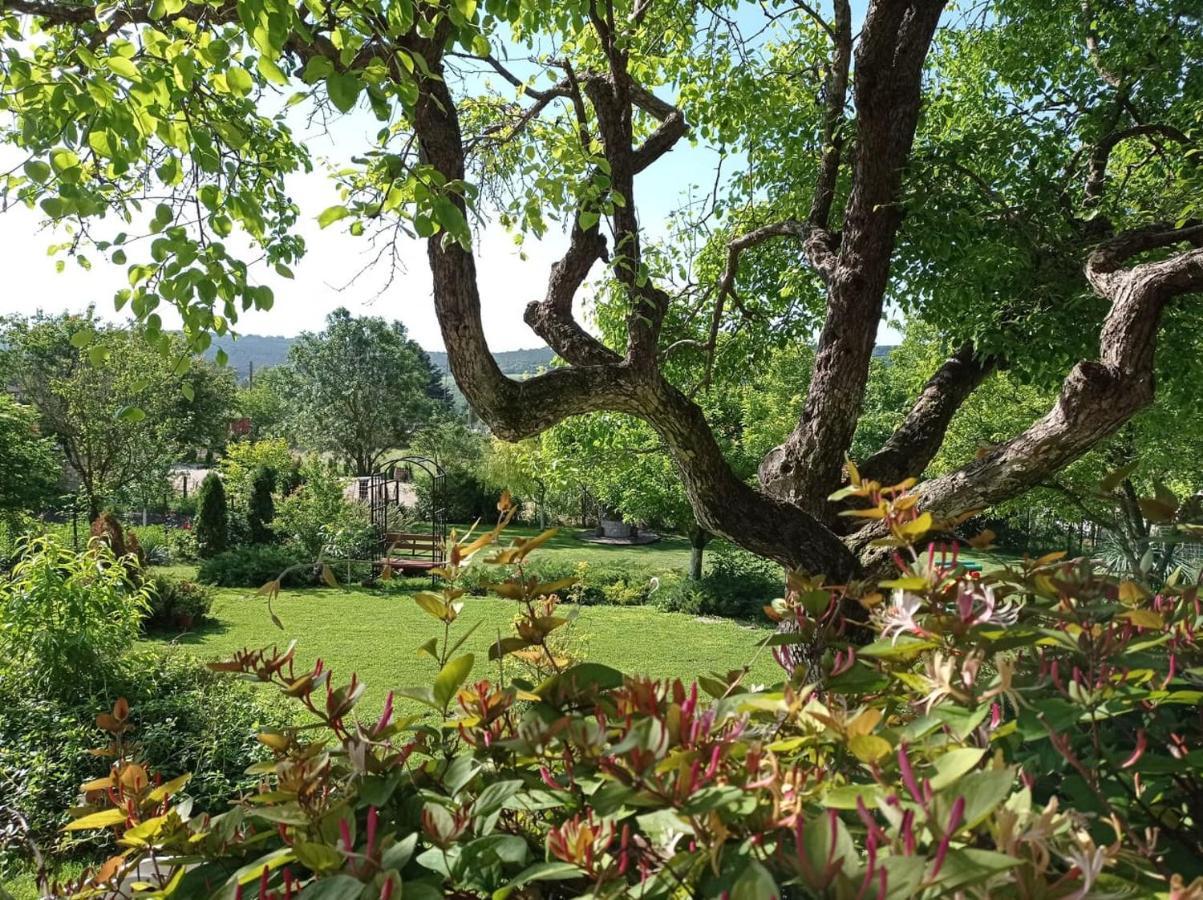 Villa Prolet General-Kantardzhievo Bagian luar foto